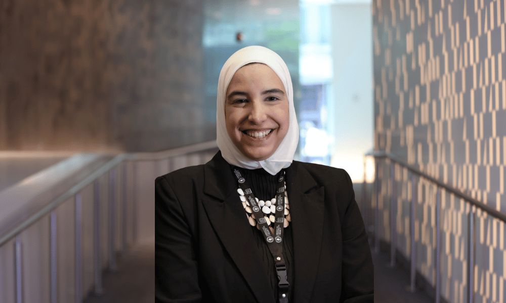 Nour  El Arnaout image