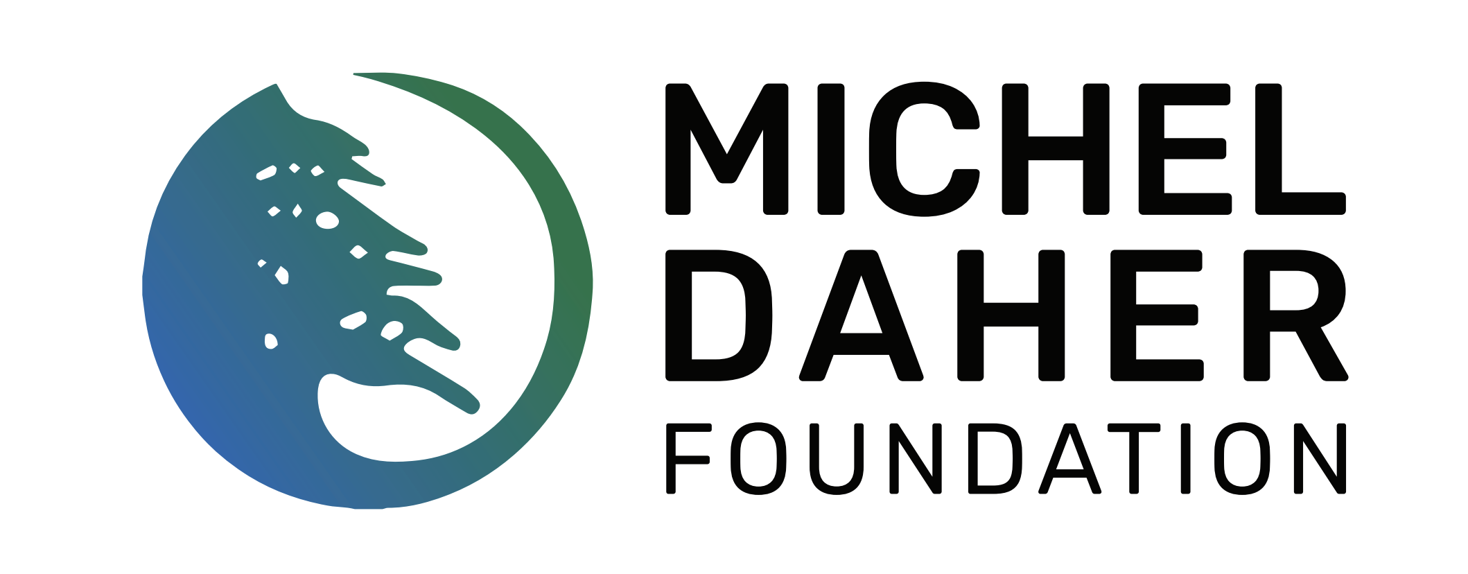 Michel Daher Social Foundation