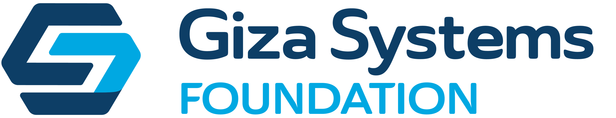 Giza Systems Foundation